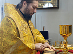 Правящий Архиерей совершил Литургию в Георгиевском храме села Терновое Острогожского района