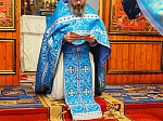Праздник Покрова Пресвятой Богородицы в Богучарском благочинии