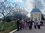 В преддверии праздника Пасхи воспитанники детского сада № 23 города Россоши украсили деревья Свято-Ильинского кафедрального собора